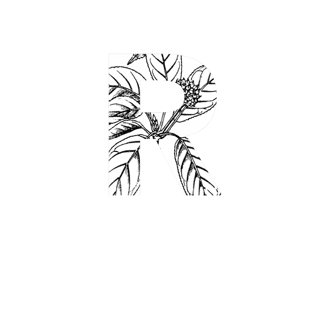 Rasamala Coffee Roasters – Our Roasted Coffees Rasamala Coffee Roasters logo