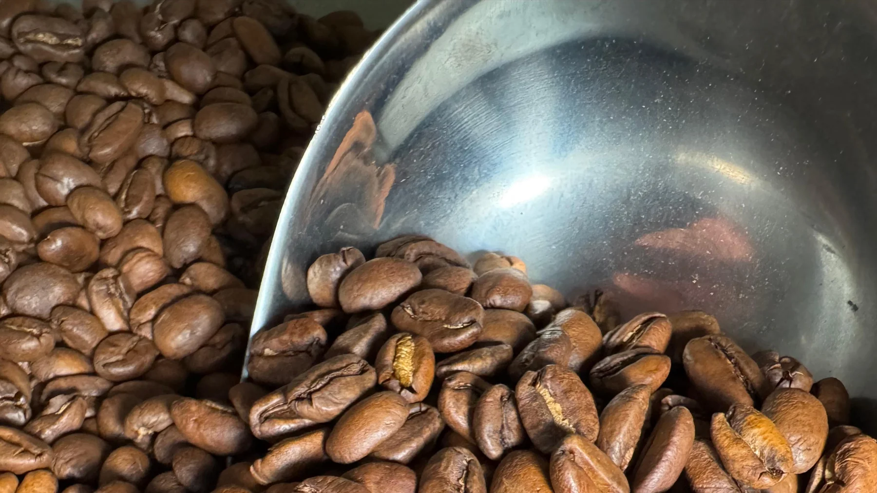 Rasamala Coffee Roasters – Our Roasted Coffees Rasamala roasted beans with steel scoop